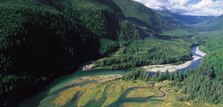 Clayoquot Wilderness Resort - Aerial-View.jpg