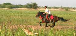 Mihir Garh - Horse-Riding-2.jpg