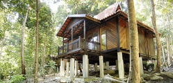 Berjaya Langkawi - Rainforest Studio