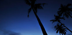 The Village Coconut Island - TVCI-Night-Beach.jpg