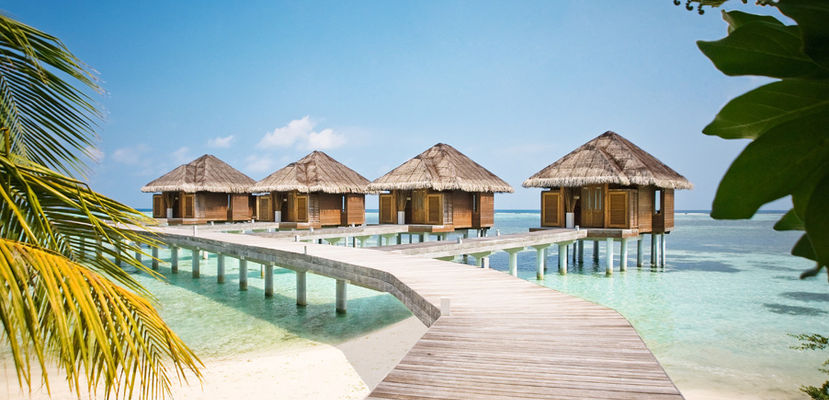 Honeymoons to the Maldives