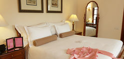 The Imperial Hotel Delhi - Eliza Room