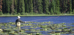 Siwash Lake Ranch - Fly Fishing
