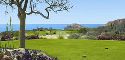 One & Only Palmilla - GOLF COURSE
