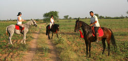 Mihir Garh - Horse-Riding-1.jpg