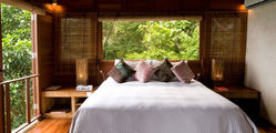 Japamala - Treetop-Bedroom.jpg