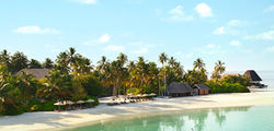 W Resort & Spa Maldives - W   Fire beach