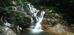 Japamala - Waterfall.jpg